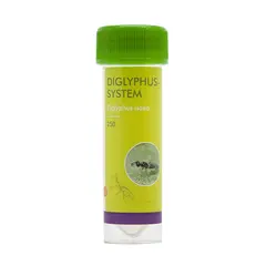 Biobest Diglyphus System