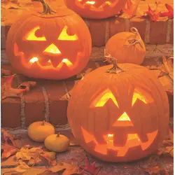 Pumpkin - Jack O'Lantern (Bulk Seed)