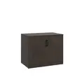 2 DOOR STORAGE CABINET BRINDLE