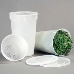 Mumm's Easy Sprouter