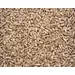 SUNFLOWER HULLED OG | 5 LBS