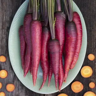Carrot - Dragon (Organic Seed)