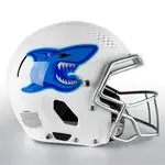 Custom Football Helmet Decals