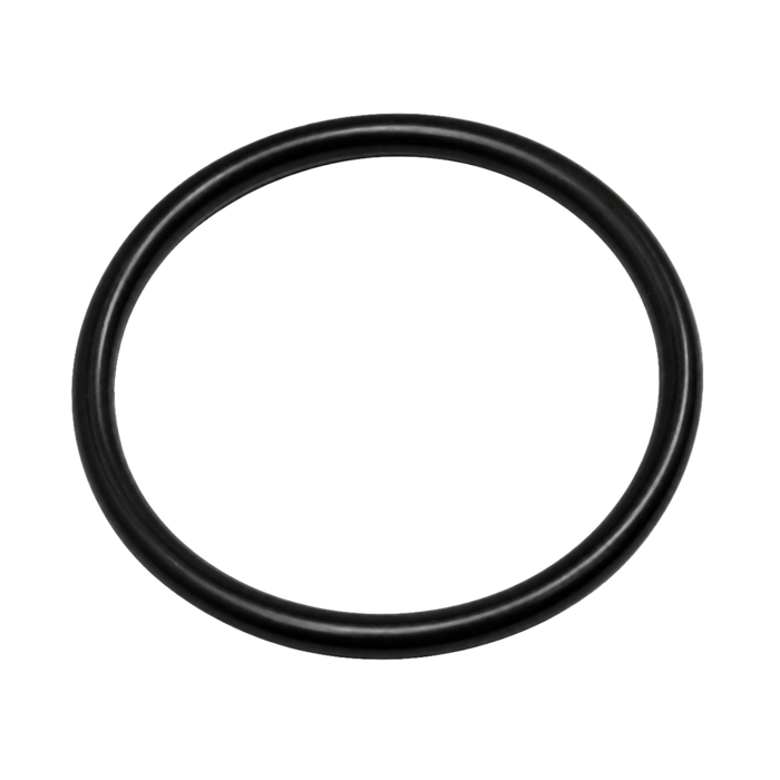 O-Ring (P-64683)
