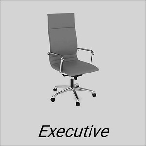 Executive