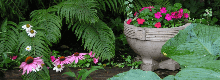 Bringing light and life to your shade garden