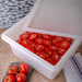 Carlisle 1064802 StorPlus™ Polyethylene 18" x 26" x 5" Colander 