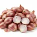 ONIONS SHALLOTS OG | 5 LBS