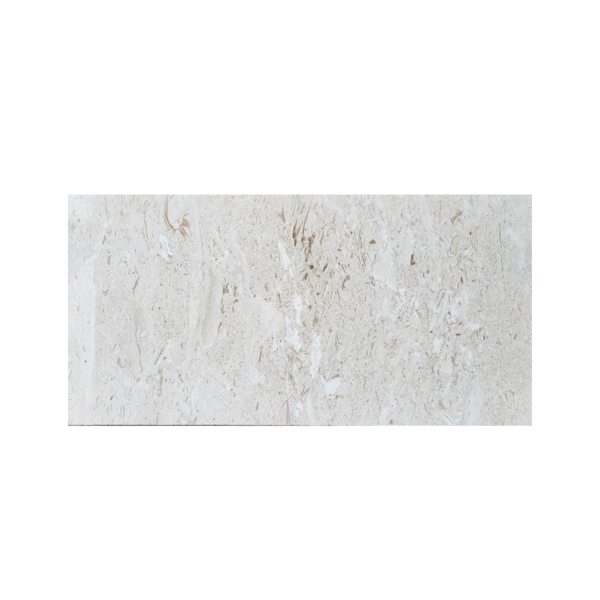 12X24 Shell Stone
