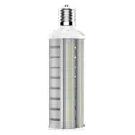 HID 60W - 5000K - 180° - E26 (12PK)