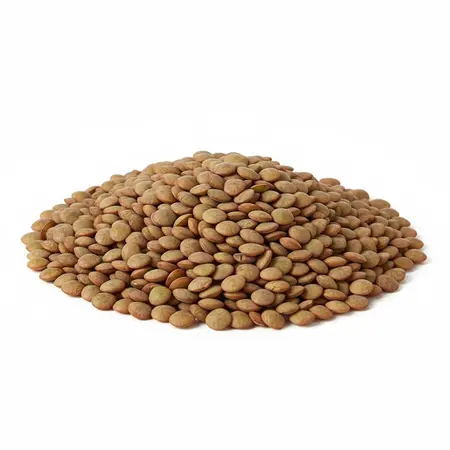 BEANS LENTILS BROWN OG | 25 LBS