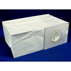 Bag, Paper 10 Pack