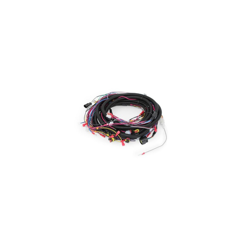 Nilfisk Advance - 55940119 - Main Connecting Wire