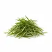 SPROUTS WHEATGRASS OG | 1 TRAY / 10x20"