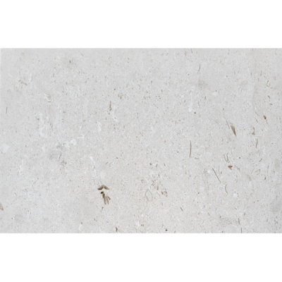 Shell Stone