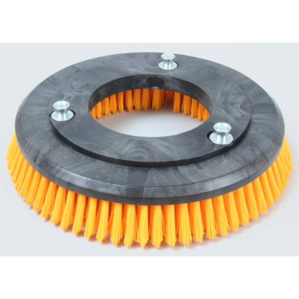 Brush, 12" Poly Carpet