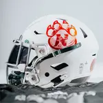Awareness Game Football Helmet Decals