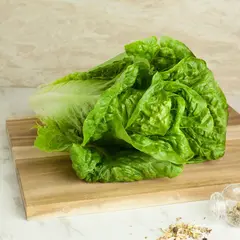 LETTUCE ROMAINE OG | 24 CT