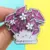 THE PLANT BUDDIES - OXALIS TRIANGULARIS