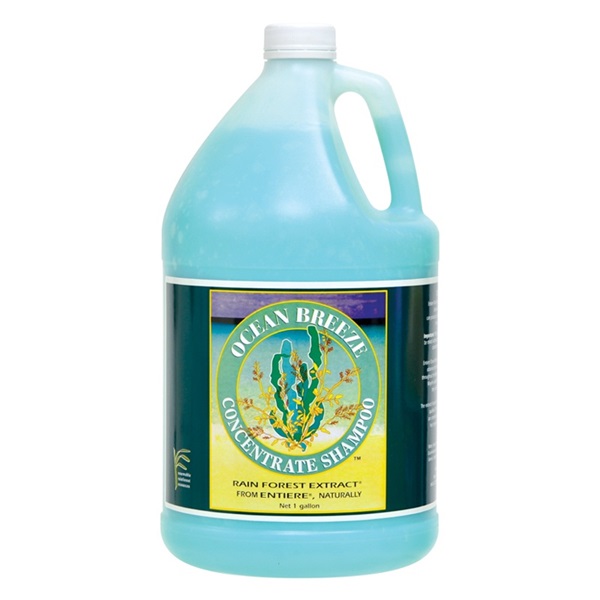 Ready Care Entiere Shampoo, Bulk Concentrate