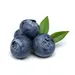 BLUEBERRIES OG | 30 LBS