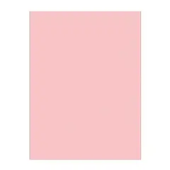 11 X 17 67 LB PINK DOMTAR VELLUM BRISTOL COPY PAPER, 81007, 250/RM 4 RM/CS