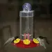 Armstrong Milling Plastic Window Hummingbird Feeder