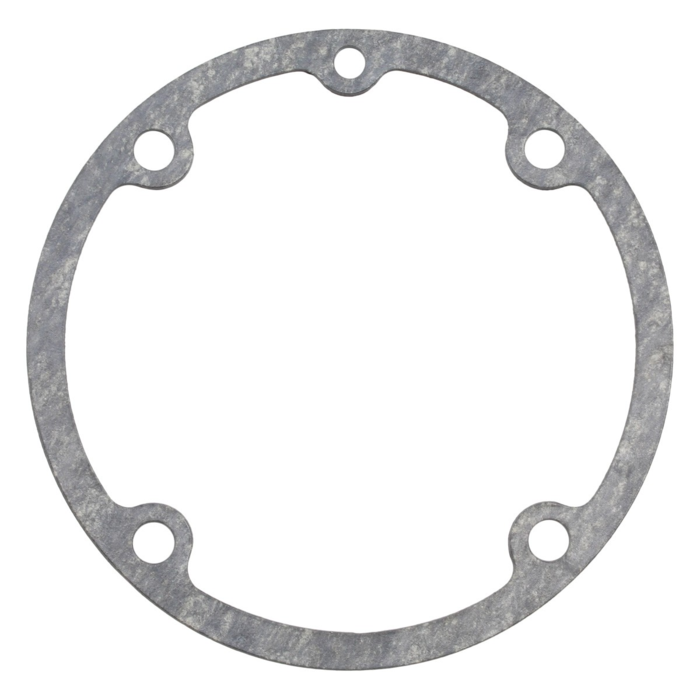 Gasket (P-62070)