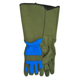 Game of Thorns Women's Rose Gloves