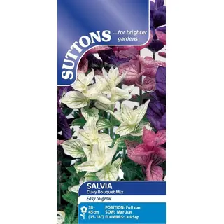 Salvia - Bouquet Mix (Seed)