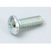 Screw