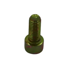 FSTN, HHCS M8 X 20MM VP WALKER