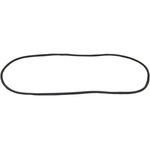Windshield Gasket