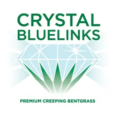 Tee-2-Green Crystal Bluelinks Premium Creeping Bentgrass
