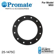 Head Gasket: MEGATRON® M50 Neoprene 3/32" Thick 80 Duro