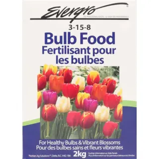 Evergro Bulb Food