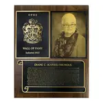 70 Series Hall of Fame & Tribute Award Plaques