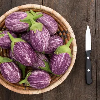 Eggplant - Piccolo (Organic Seed)