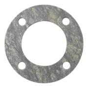 Gasket (P-62081)