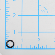 O-Ring (P-64239)