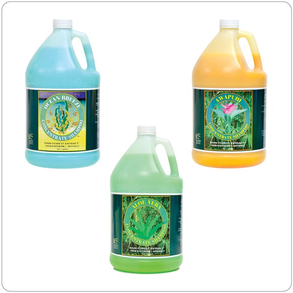 Ready Care Entiere Shampoo, Bulk Concentrate