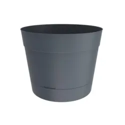 Multy Home Willow Planter 6"