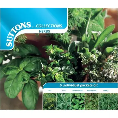 Herb - Collection Mix (Seed)