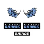 Custom Hockey Helmet Decal Sets