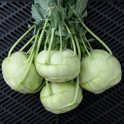 Kohlrabi - Trero (Organic Seed)