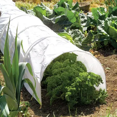 Polythene Grow Tunnel