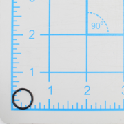 O-Ring (P-64491)
