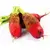 MANGEL SUGAR BEET 25G
