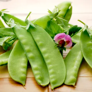 Pea - Green Beauty Snow (Seed)