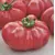 TOMATO BRANDYWINE 2G